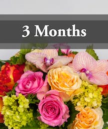 3 Months of Flowers