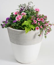 Blooming Patio Pots - Lifestyle Collection