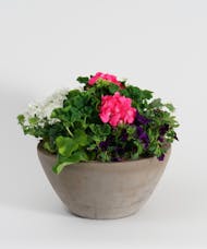 Blooming Patio Pots - Natural Collection