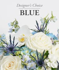 Designer's Choice Blue