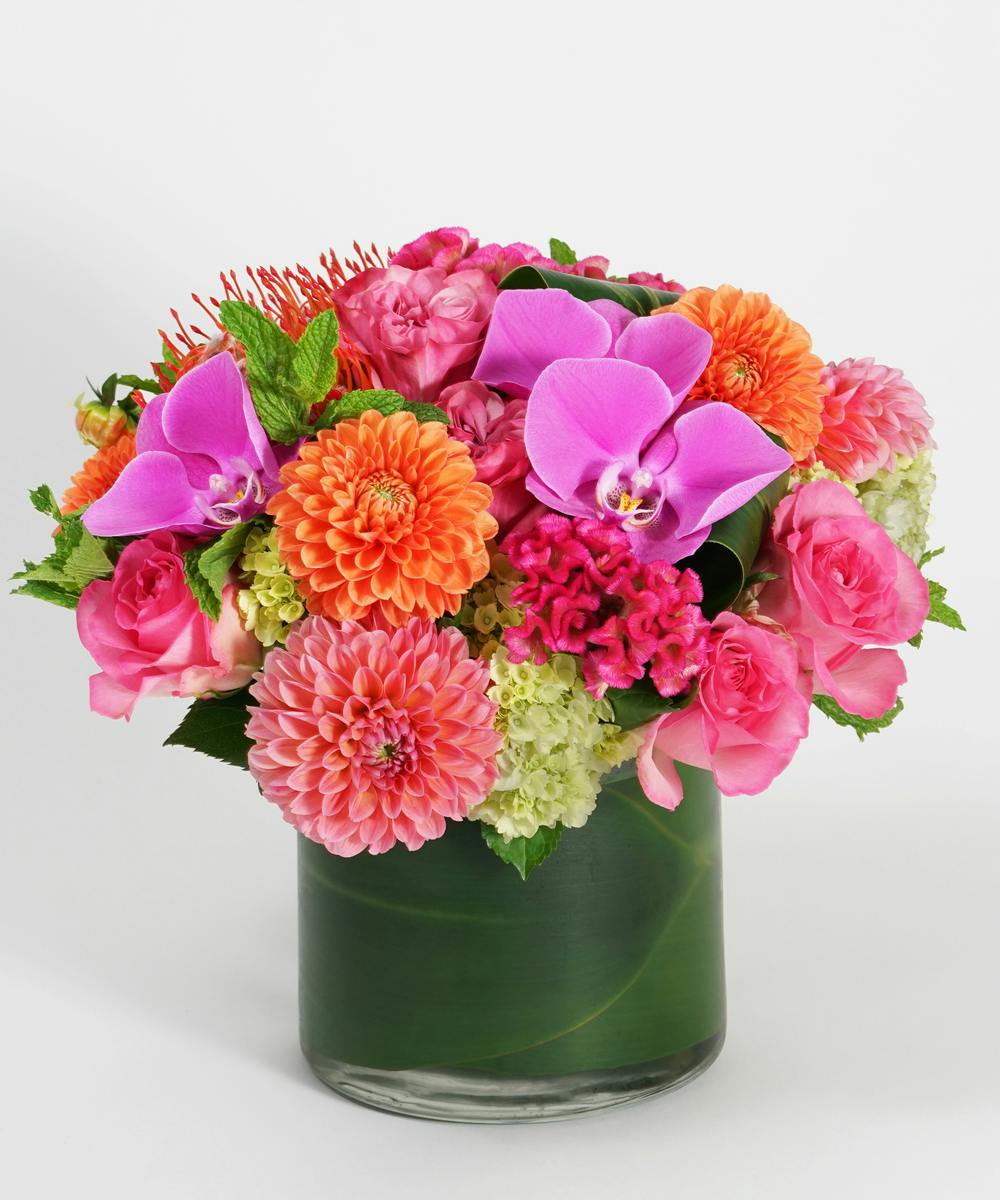 Philadelphia Florist Philadelphia Flower Delivery Robertson's Flowers