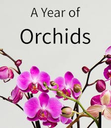 Orchids for a Year