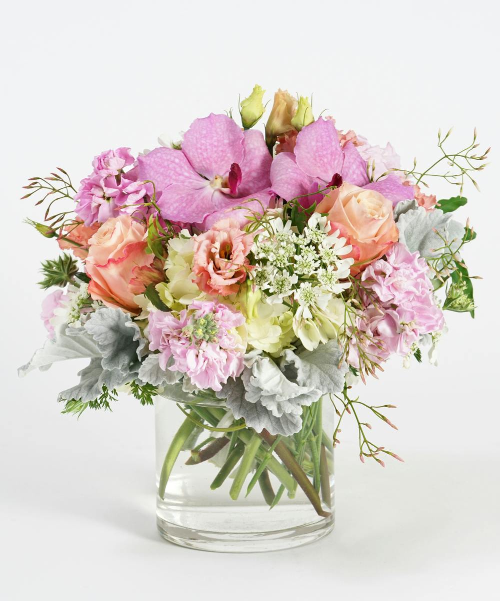 Daydream | Flower Delivery, Premier Philadelphia Florist - Robertson's ...