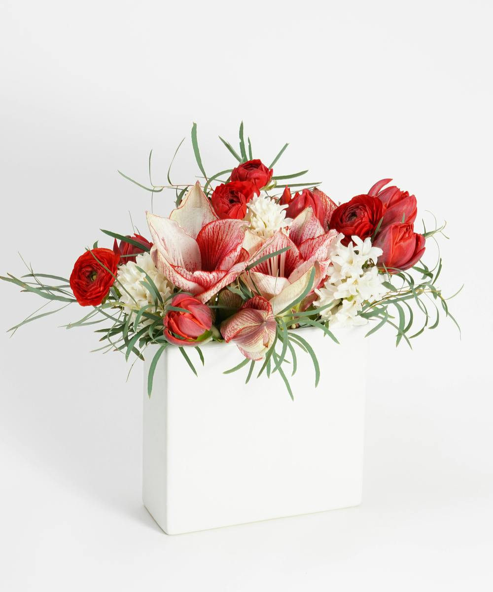 Peppermint Twist Christmas Flower Delivery, Philadelphia Florist