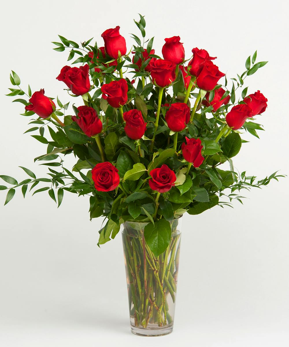 Dozen Red Roses Delivery Philadelphia (PA) Sameday Florist