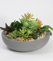 Succulent Garden (Grey Monique Bowl)