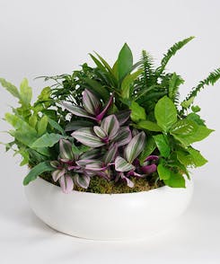 A large planter stuffed with mixed vegetation
