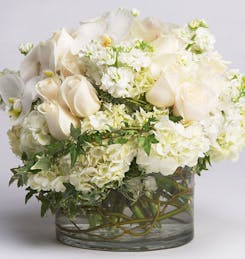 Dozens of white roses in a cylindrical vase