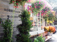 Spring blooms with thriving plants and hanging flowers outside our front window